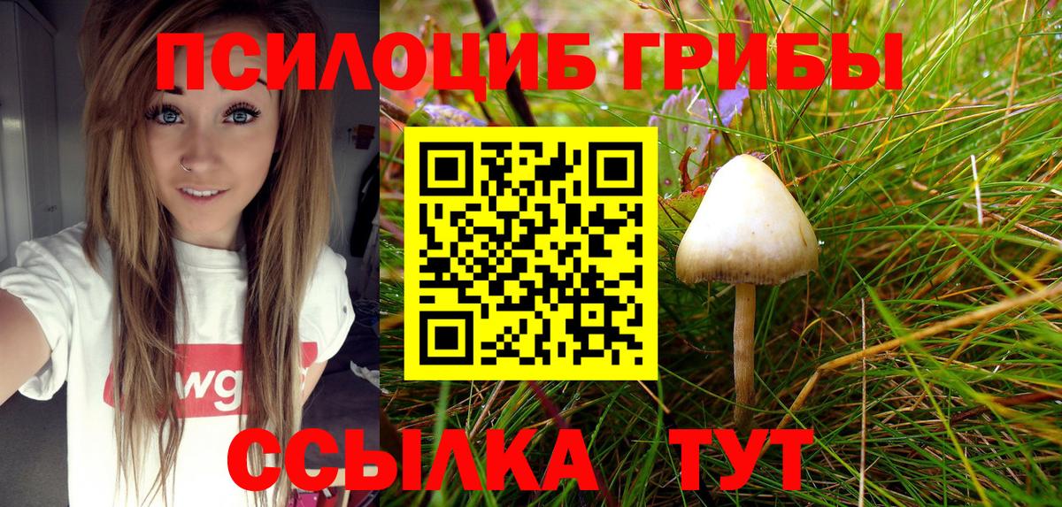 сколько стоит  Вход с VPN  Сертолово  Галлюциногенные грибы Psilocybe 